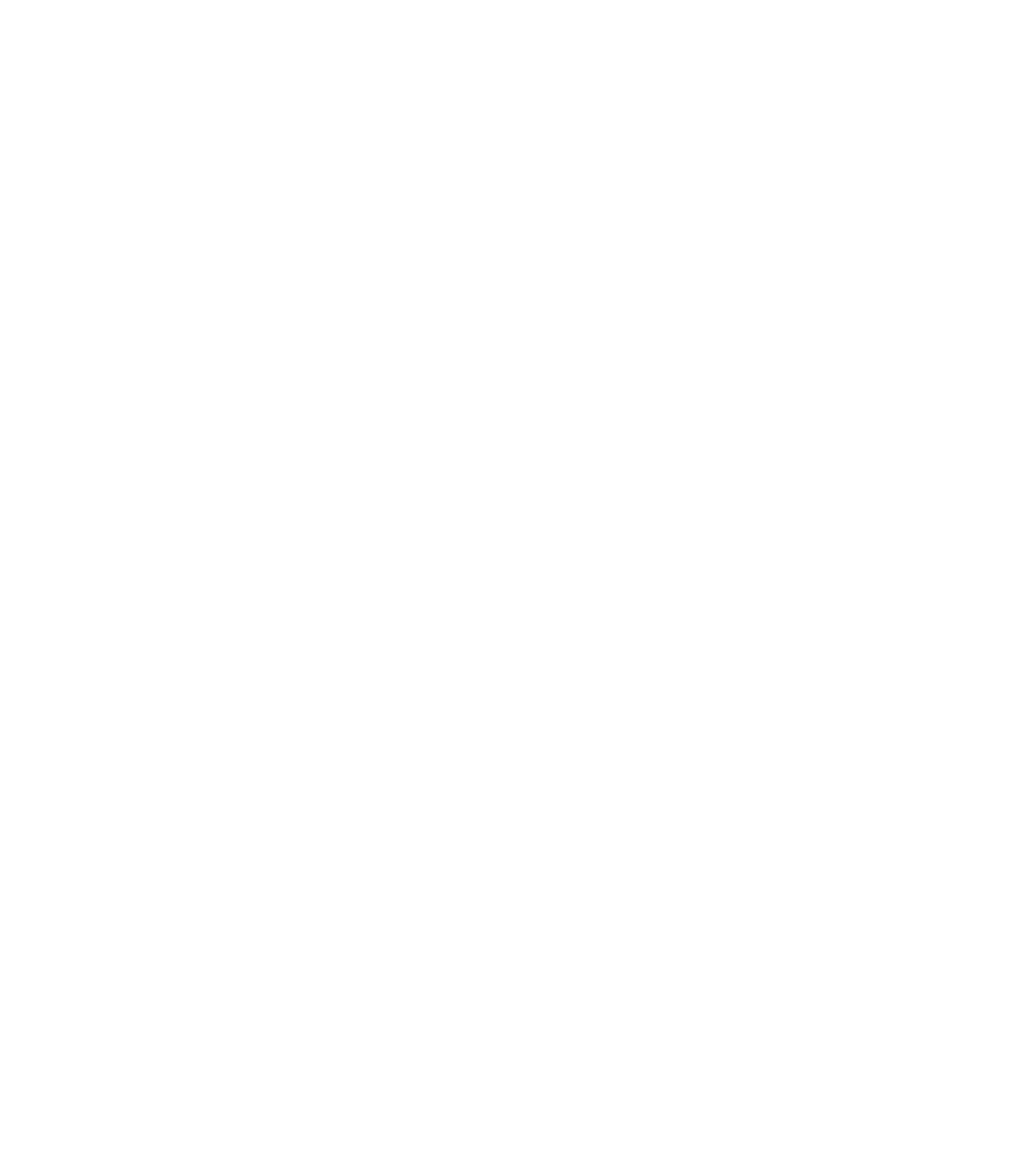 RenoReel Logo
